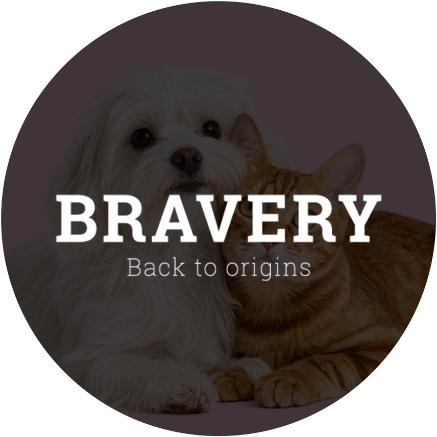 Bravery